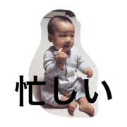 kocchan1