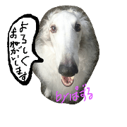 BORUBORUborzoi