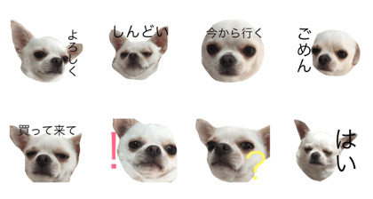 kotarokotaro