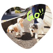 muku and ku