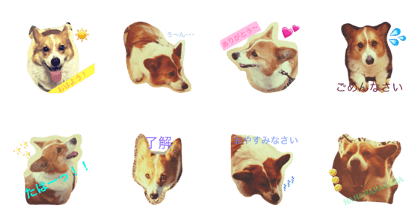 Kawaii Ryotaro