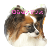 Dog Coro