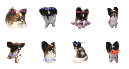Dog Coro