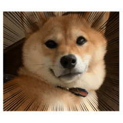rina_20210801155149