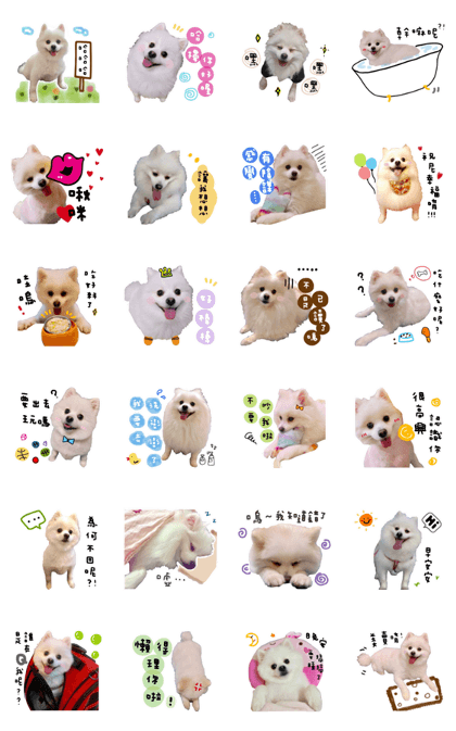 Q daughter Bo Mei niu life fun