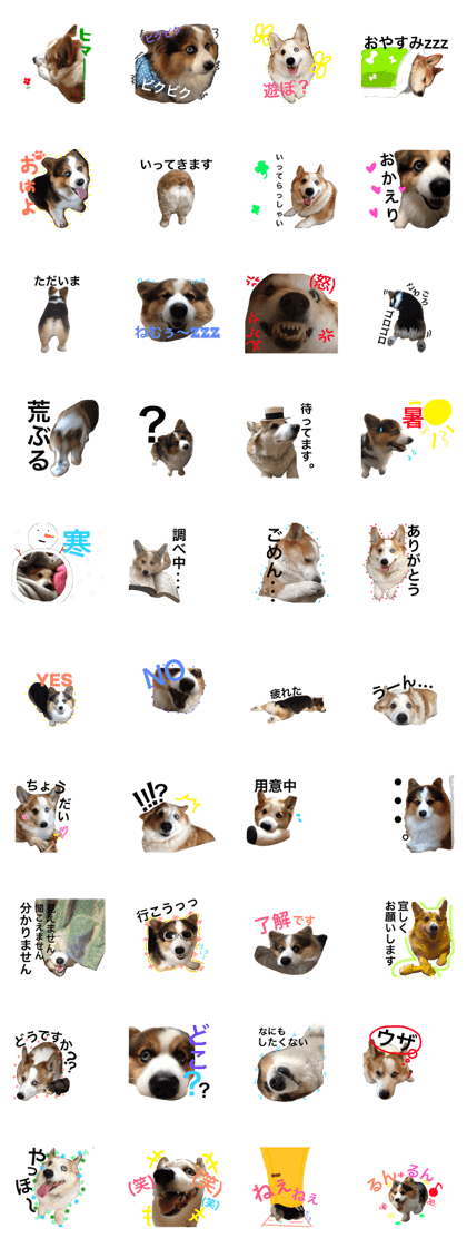 kinakoanko