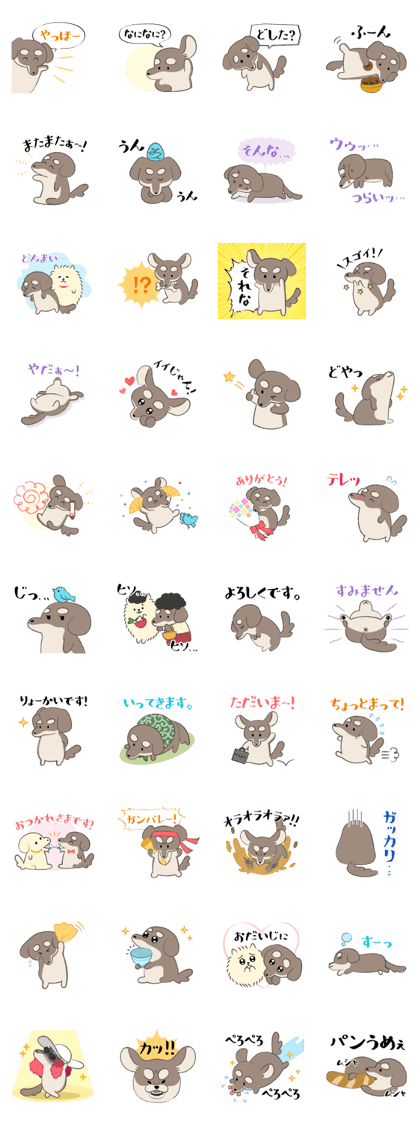 Maromayu dog2