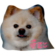 kamukuma