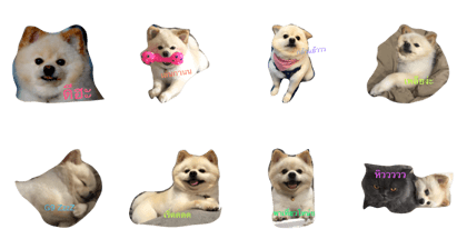 kamukuma