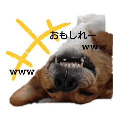 himawari_20210801164438