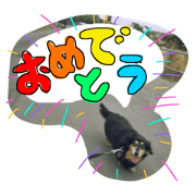 Mr. Hayakawa Mickey. Its 2