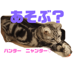 Asuka_20210801165511