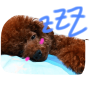 kidkun@