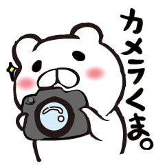 camera bear