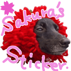 Kai-Dog Sakura's Sticker