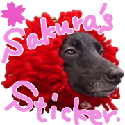 Kai-Dog Sakura's Sticker