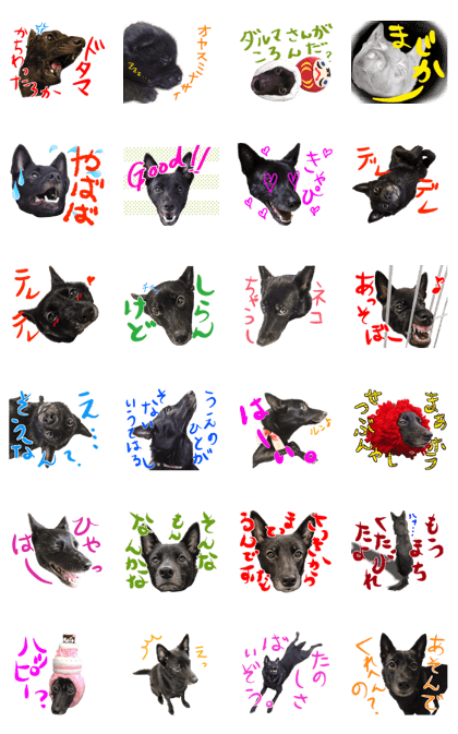 Kai-Dog Sakura's Sticker