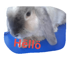 bunny rabbitzilla