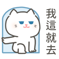 HITOMI's white cat