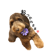 yunisticker