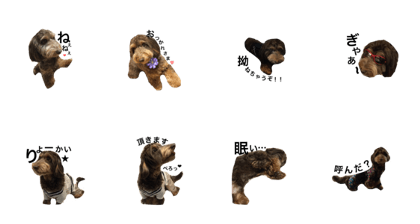 yunisticker