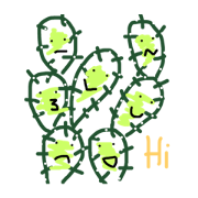 Wowcactus