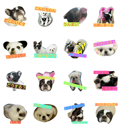 wagayan no cute mofumofu's