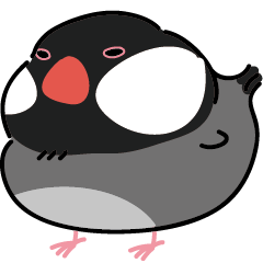 Cute bird-Black Java sparrow