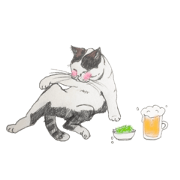 I am a cool CAT living in Osaka.