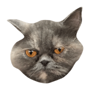 NongPeakPoon