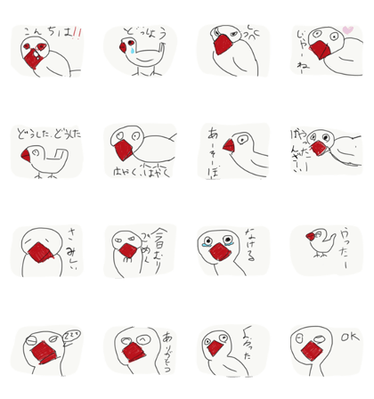 java sparrow002