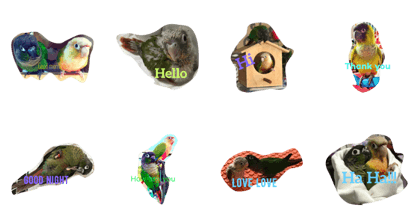 kanomchan&towful&peakpoon a cute parrots