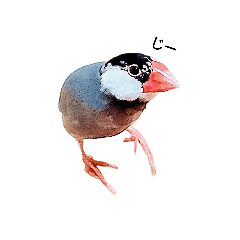 SAORI_20210801154213