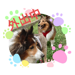 junko_20210801174531