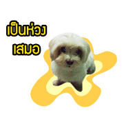 My Dog in Memory