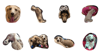 sausage.dog.life