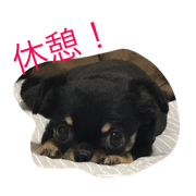 kuuuu sticker