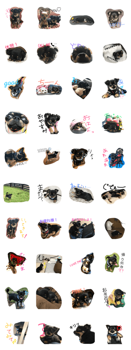 kuuuu sticker