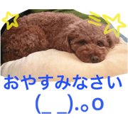 Tina chan