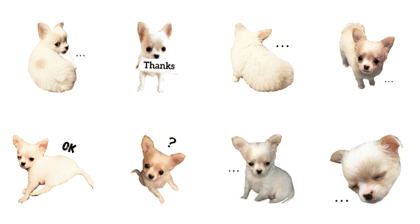 Puppy's Tora