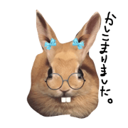 HANAchanWARAchan