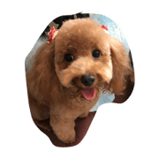 Perl