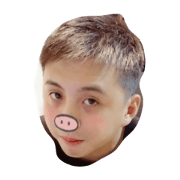 baby pig pig