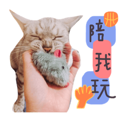 Rick貓日常生活篇