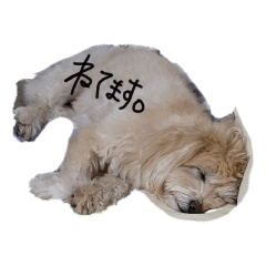 katumin_20210801184759