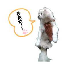 smile_20210801185106