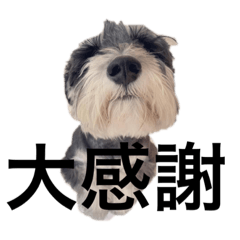 貝貝乖乖等2021