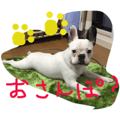wasaeno