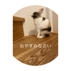 Aoi_20210801222322