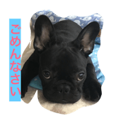 Bardie